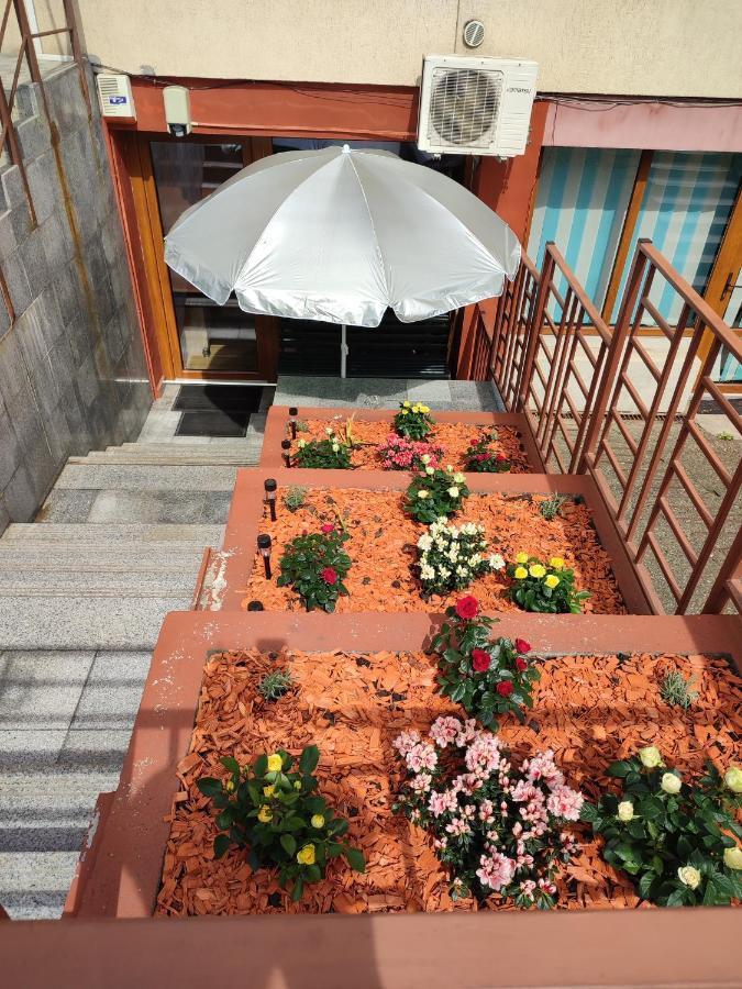 Garsoniera Alex Appartement Cluj-Napoca Buitenkant foto